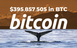 Bitcoin Whales Shift $395,857,505 in BTC for Fee Banks Would Never Offer